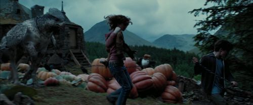 PdA-Potterish_7275.jpg