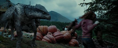 PdA-Potterish_7276.jpg