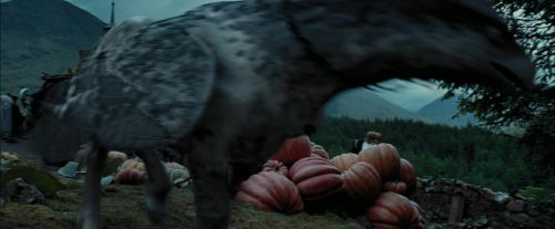 PdA-Potterish_7277.jpg