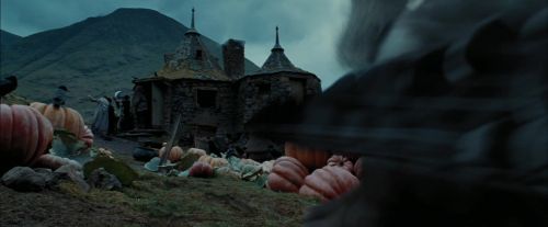 PdA-Potterish_7278.jpg