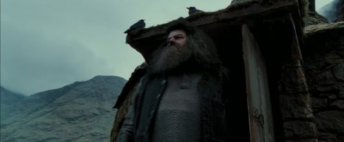 Click to view full size image
==============
PdA-Potterish_7289.jpg PdA-Potterish_7289.jpg