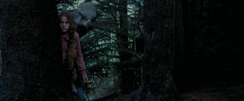 PdA-Potterish_7293.jpg