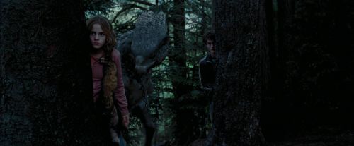 Click to view full size image
==============
PdA-Potterish_7294.jpg PdA-Potterish_7294.jpg
