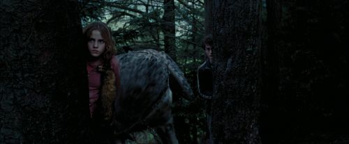 PdA-Potterish_7295.jpg