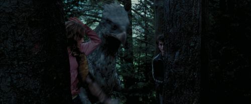 Click to view full size image
==============
PdA-Potterish_7296.jpg PdA-Potterish_7296.jpg