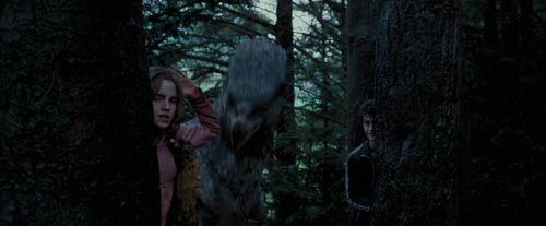 Click to view full size image
==============
PdA-Potterish_7297.jpg PdA-Potterish_7297.jpg