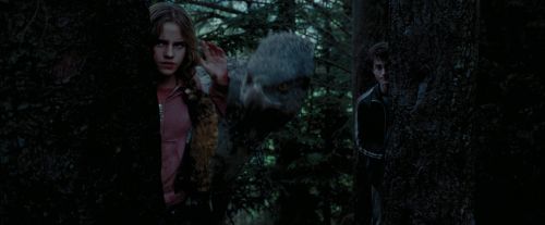 Click to view full size image
==============
PdA-Potterish_7298.jpg PdA-Potterish_7298.jpg