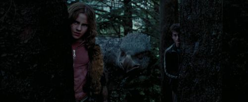 PdA-Potterish_7299.jpg