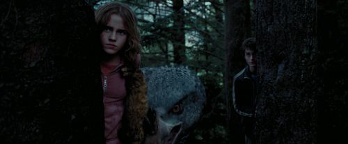 PdA-Potterish_7300.jpg