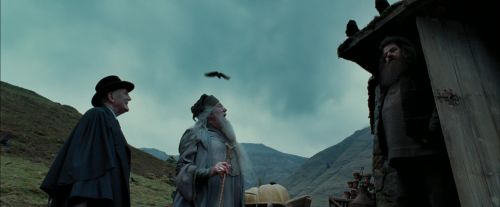 PdA-Potterish_7315.jpg