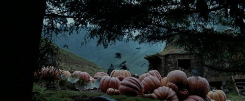 PdA-Potterish_7334.jpg