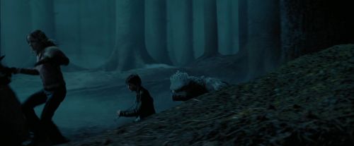 PdA-Potterish_7340.jpg
