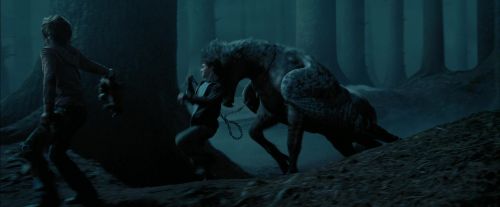 Click to view full size image
==============
PdA-Potterish_7341.jpg PdA-Potterish_7341.jpg