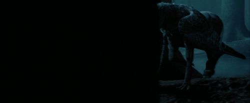 Click to view full size image
==============
PdA-Potterish_7342.jpg PdA-Potterish_7342.jpg