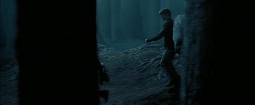 PdA-Potterish_7343.jpg