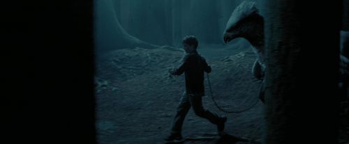 Click to view full size image
==============
PdA-Potterish_7344.jpg PdA-Potterish_7344.jpg