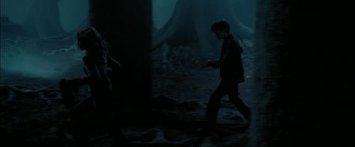 PdA-Potterish_7345.jpg
