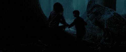 Click to view full size image
==============
PdA-Potterish_7347.jpg PdA-Potterish_7347.jpg