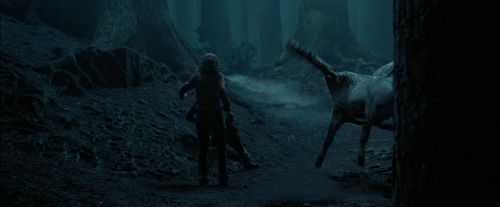 PdA-Potterish_7352.jpg