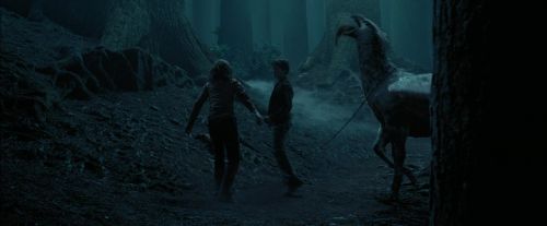 Click to view full size image
==============
PdA-Potterish_7354.jpg PdA-Potterish_7354.jpg