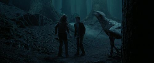 PdA-Potterish_7355.jpg