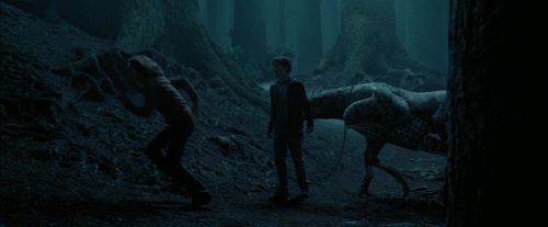 Click to view full size image
==============
PdA-Potterish_7356.jpg PdA-Potterish_7356.jpg
