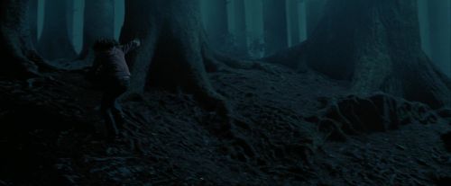 Click to view full size image
==============
PdA-Potterish_7358.jpg PdA-Potterish_7358.jpg