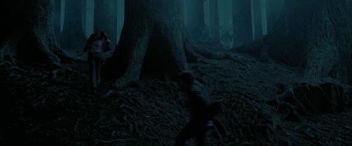 PdA-Potterish_7359.jpg