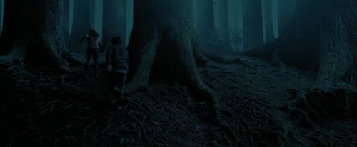 PdA-Potterish_7360.jpg