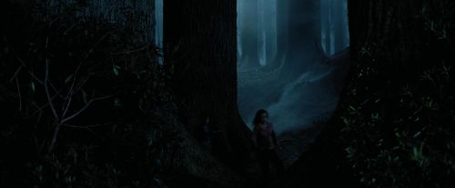 PdA-Potterish_7362.jpg