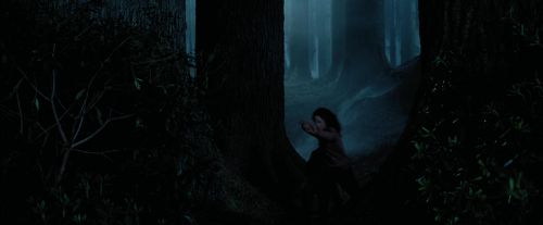 PdA-Potterish_7363.jpg