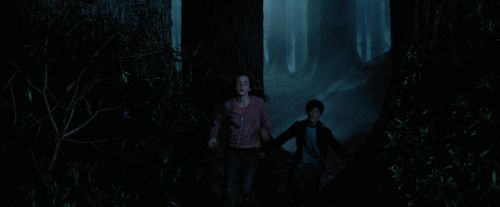 Click to view full size image
==============
PdA-Potterish_7364.jpg PdA-Potterish_7364.jpg