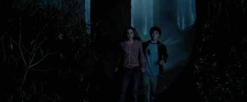PdA-Potterish_7365.jpg