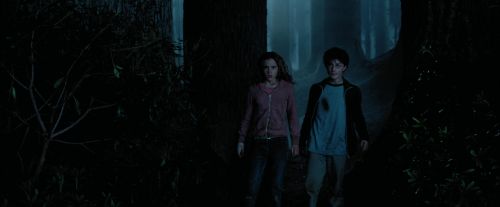 Click to view full size image
==============
PdA-Potterish_7366.jpg PdA-Potterish_7366.jpg