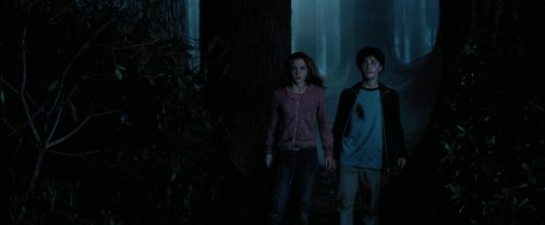 Click to view full size image
==============
PdA-Potterish_7367.jpg PdA-Potterish_7367.jpg
