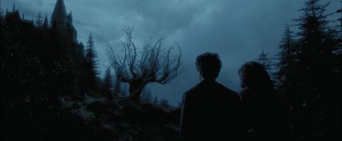 PdA-Potterish_7368.jpg