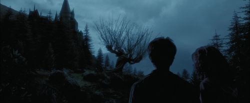 PdA-Potterish_7382.jpg