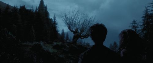 PdA-Potterish_7384.jpg