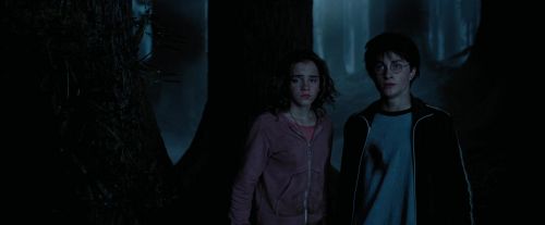 PdA-Potterish_7386.jpg