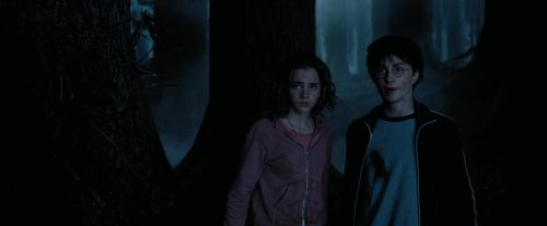 Click to view full size image
==============
PdA-Potterish_7387.jpg PdA-Potterish_7387.jpg