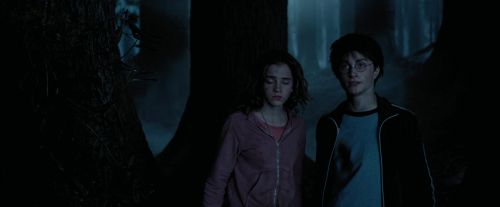 PdA-Potterish_7388.jpg