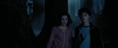 PdA-Potterish_7389.jpg