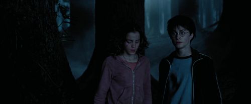 PdA-Potterish_7390.jpg