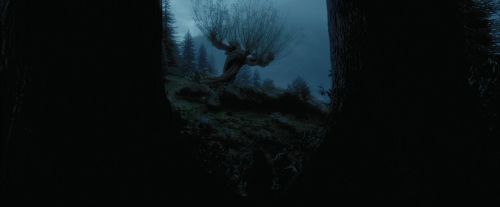 PdA-Potterish_7397.jpg