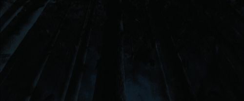 PdA-Potterish_7406.jpg