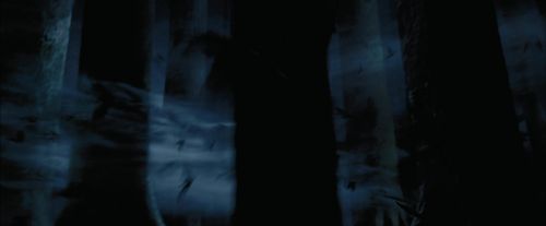 Click to view full size image
==============
PdA-Potterish_7408.jpg PdA-Potterish_7408.jpg