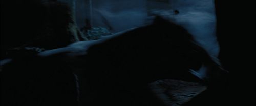 PdA-Potterish_7411.jpg