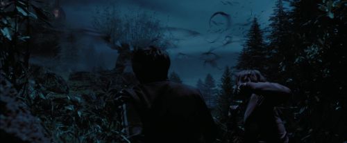 PdA-Potterish_7418.jpg