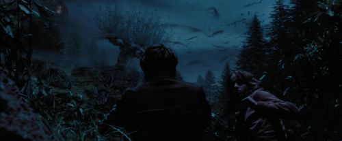PdA-Potterish_7419.jpg