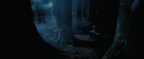 PdA-Potterish_7420.jpg
